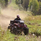 A man rides his ATV down a tree-lined trail.