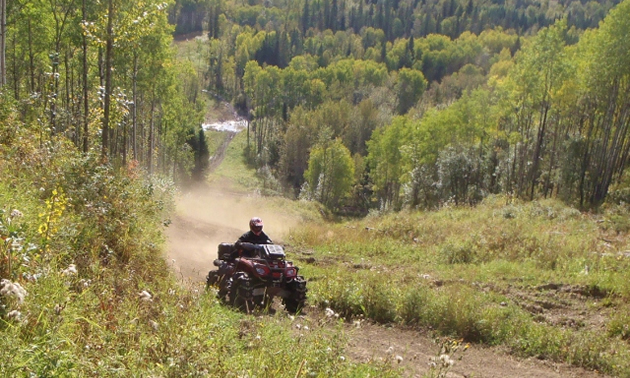 A man rides his ATV down a tree-lined trail.