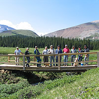 A group of people standing on a bridge. 