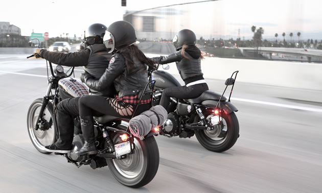 A lightweight sissy bar on a Sportster. 