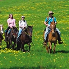 A group of people riding through a meadow on horses