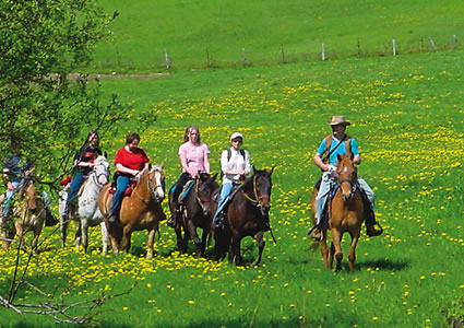 A group of people riding through a meadow on horses