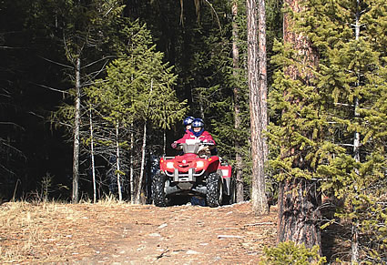 Photo of a crowd of ATVers in a forest