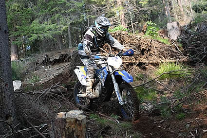 Dirt bike in a forest