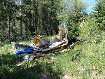 Garbage strewn about in the woods