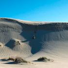 Photo of an ATVer on sand dunes