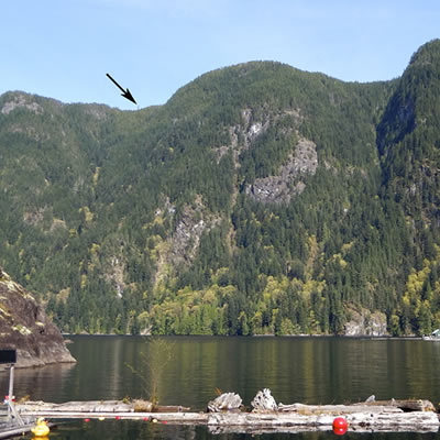 An arrow pointing at two trees on top of a mountain in the distance. 